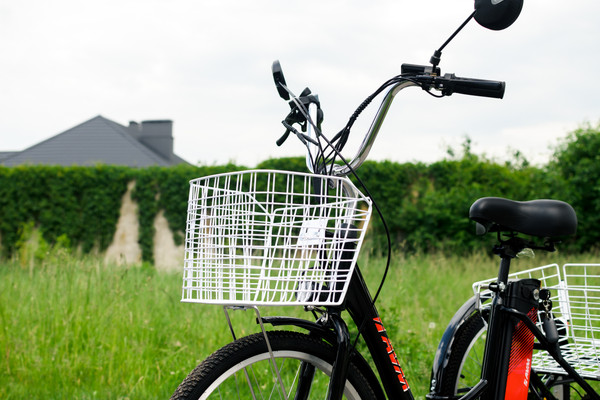 Изображение товара Электровелосипед AVM E-Alfa Trike 24 (черный)