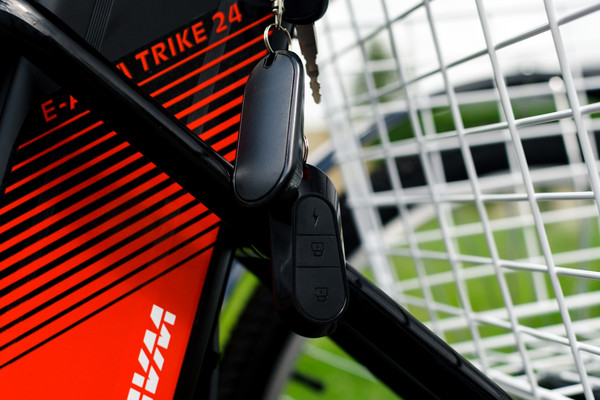 Изображение товара Электровелосипед AVM E-Alfa Trike 24 (черный)