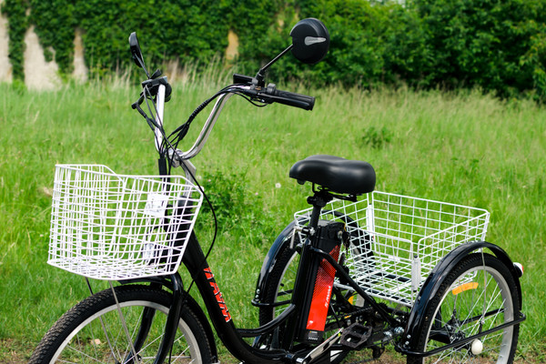 Изображение товара Электровелосипед AVM E-Alfa Trike 24 (черный)