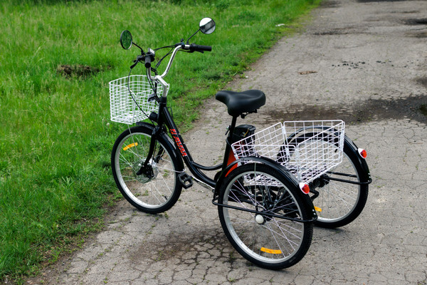 Изображение товара Электровелосипед AVM E-Alfa Trike 24 (черный)