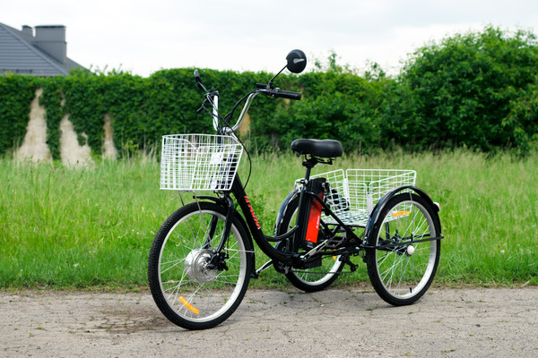 Изображение товара Электровелосипед AVM E-Alfa Trike 24 (черный)