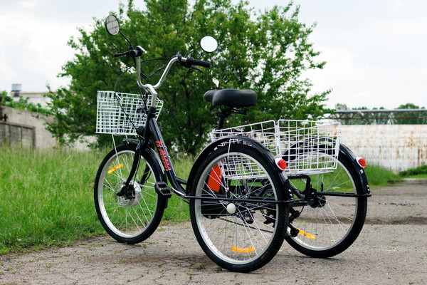 Изображение товара Электровелосипед AVM E-Alfa Trike 24 (черный)