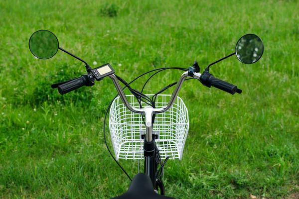 Изображение товара Электровелосипед AVM E-Alfa Trike 24 (черный)