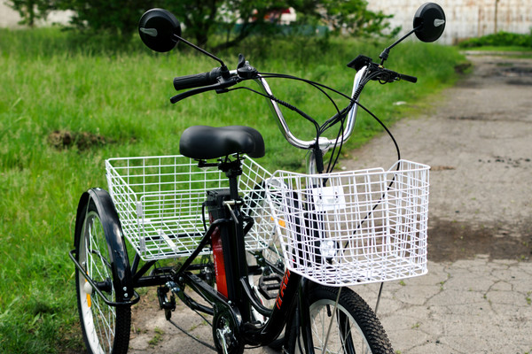 Изображение товара Электровелосипед AVM E-Alfa Trike 24 (черный)