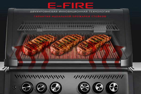 Изображение товара Газовый гриль Start Grill Chimera Elite 500