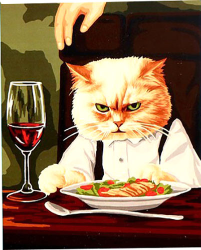 Изображение товара Картина по номерам Школа талантов Недовольный кот / 9898598