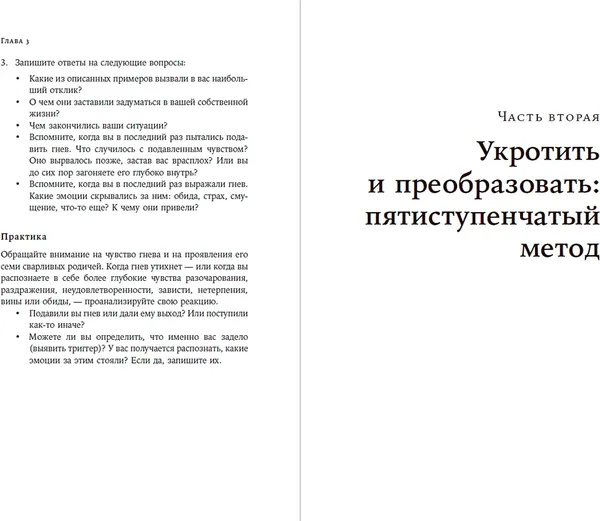 Изображение товара Книга Альпина Взрывной характер (Робертс Триш 9785961498165)
