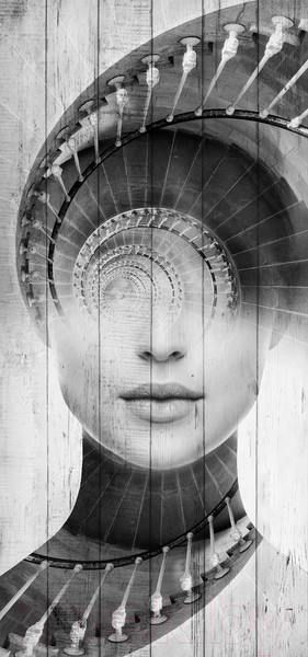 Изображение товара Картина White Wood B112-V-120-180-6.2