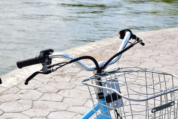 Изображение товара Электровелосипед Terax Alfa NS008