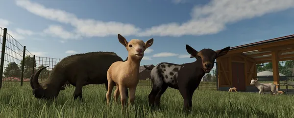 Изображение товара Игра для игровой консоли PlayStation 5 Farming Simulator 25 (EU pack, RU subtitles)