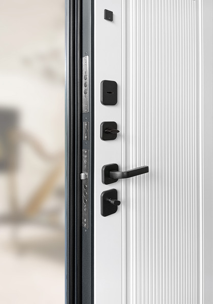 Изображение товара Входная дверь Промет Рона арфа (96x205, правая)