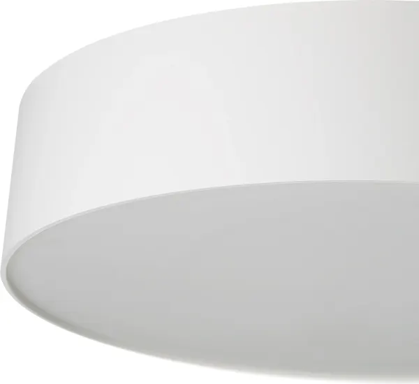 Изображение товара Потолочный светильник Citilux Bart CL755290