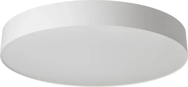 Изображение товара Потолочный светильник Citilux Bart CL755490