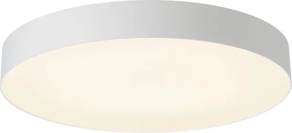 Изображение товара Потолочный светильник Citilux Bart CL755490