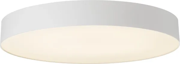 Изображение товара Потолочный светильник Citilux Bart CL755490