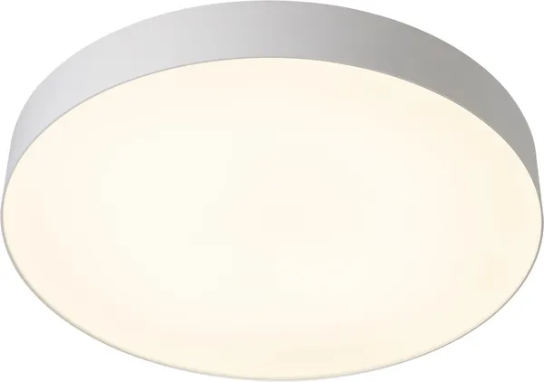 Изображение товара Потолочный светильник Citilux Bart CL755490