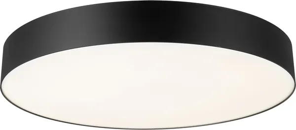 Изображение товара Потолочный светильник Citilux Bart CL755491