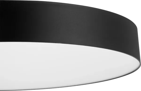 Изображение товара Потолочный светильник Citilux Bart CL755491