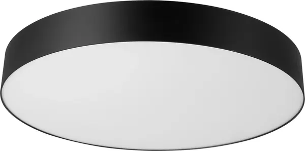 Изображение товара Потолочный светильник Citilux Bart CL755491
