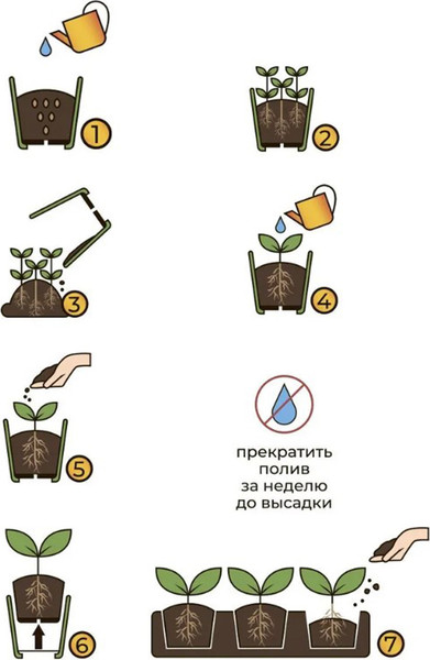 Изображение товара Набор горшков для рассады Чипполино 500мл / 0336 (10шт, желтый)