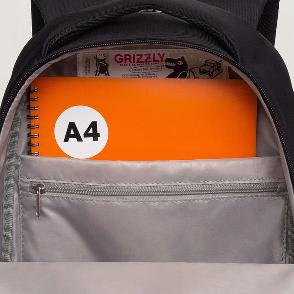 Изображение товара Рюкзак Grizzly RD-540-2 (черный)