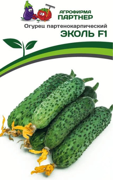 Изображение товара Семена Агрофирма Партнер Огурец Эколь F1 (5шт)