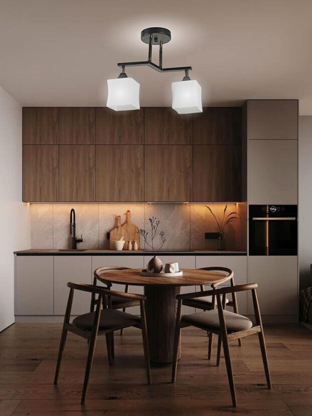 Изображение товара Потолочный светильник Aitin-Pro НПБ 02-2x60-101 / 33137/2 (черный/золото)