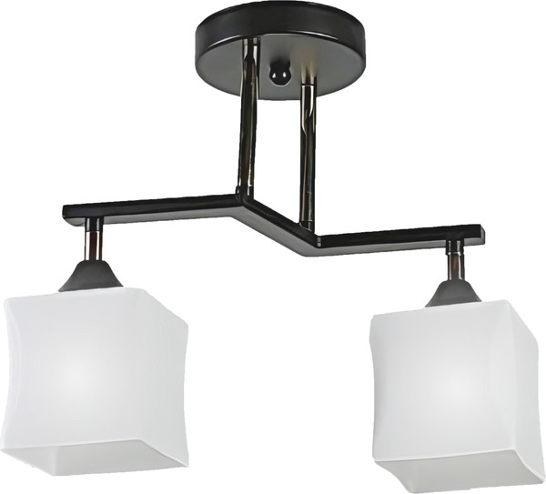 Изображение товара Потолочный светильник Aitin-Pro НПБ 02-2x60-101 / 33137/2 (черный/золото)