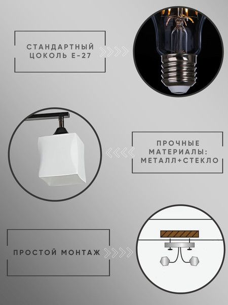 Изображение товара Потолочный светильник Aitin-Pro НПБ 02-2x60-101 / 33137/2 (черный/золото)