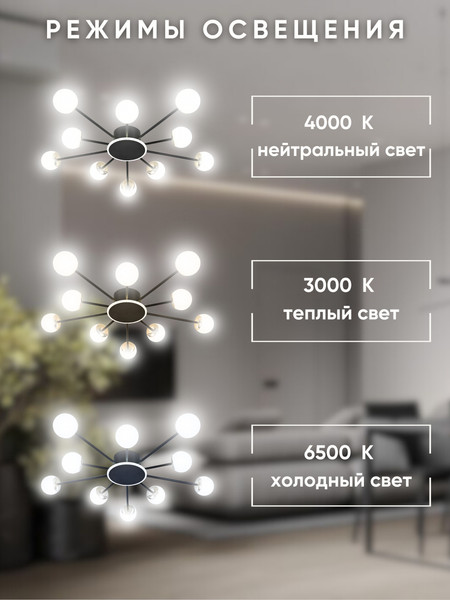 Изображение товара Люстра Aitin-Pro L73058/10C (черный/хром)