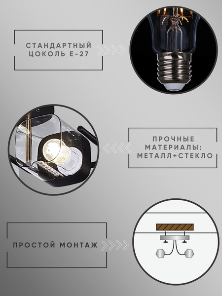 Изображение товара Потолочный светильник Aitin-Pro НПБ 02-2x60-101 / 8458/2 (черный/медь)