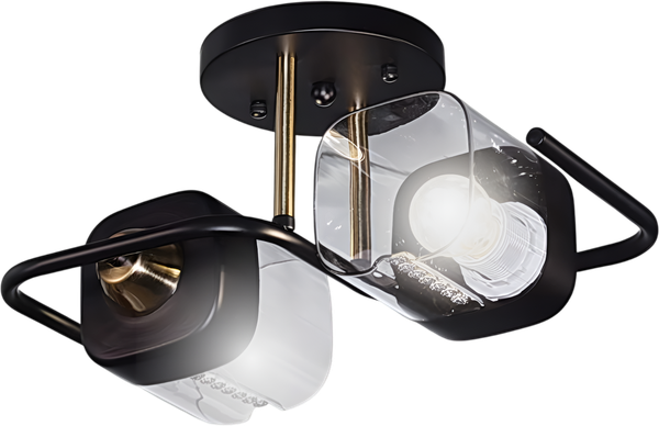 Изображение товара Потолочный светильник Aitin-Pro НПБ 02-2x60-101 / 8458/2 (черный/медь)