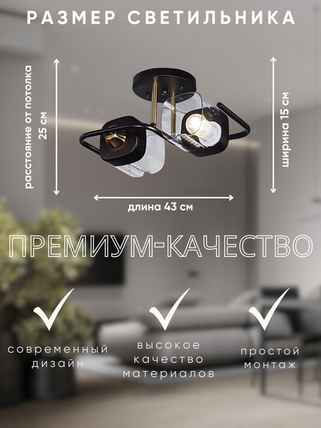 Изображение товара Потолочный светильник Aitin-Pro НПБ 02-2x60-101 / 8458/2 (черный/медь)