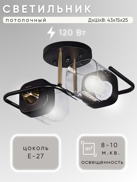 Изображение товара Потолочный светильник Aitin-Pro НПБ 02-2x60-101 / 8458/2 (черный/медь)