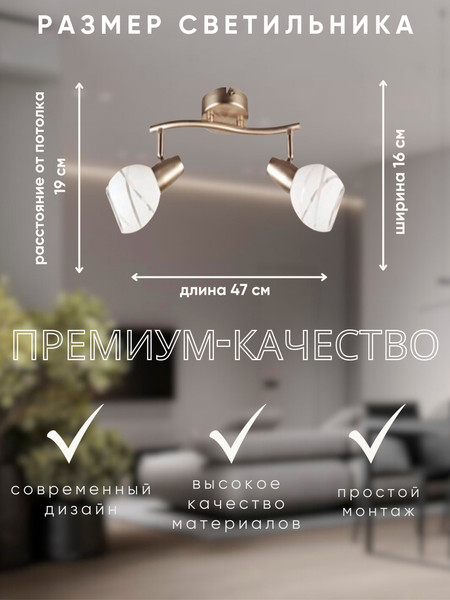 Изображение товара Спот Aitin-Pro НПБ 02-2x60-102 / 7496/2 (сатин)