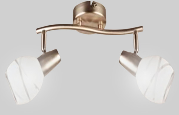 Изображение товара Спот Aitin-Pro НПБ 02-2x60-102 / 7496/2 (сатин)