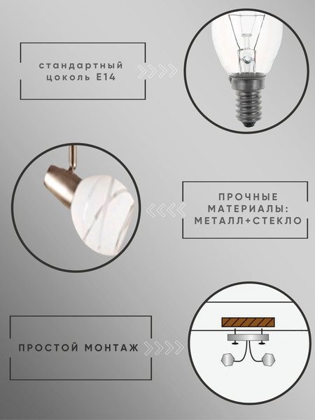 Изображение товара Спот Aitin-Pro НПБ 02-2x60-102 / 7496/2 (сатин)