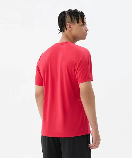 Изображение товара Футболка игровая футбольная Jogel Premier PerFormDRY Training Poly Tee (XS, красный)