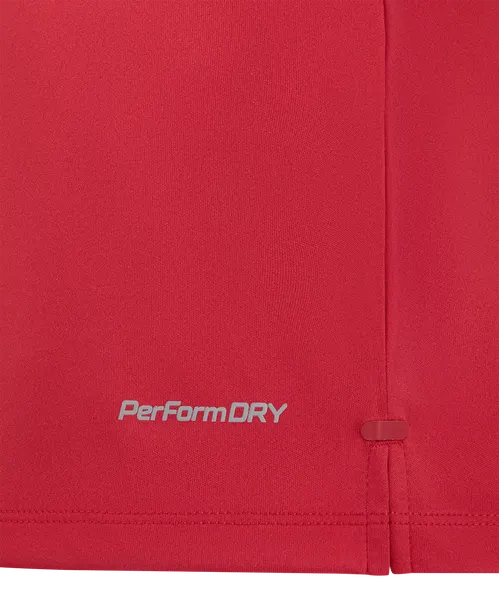 Изображение товара Футболка игровая футбольная Jogel Premier PerFormDRY Training Poly Tee (XS, красный)