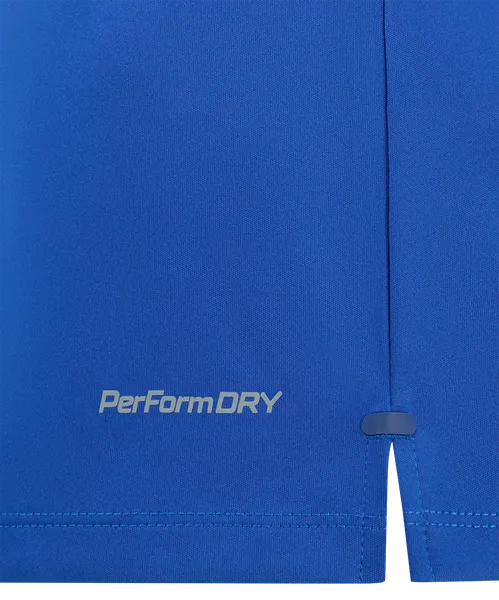Изображение товара Футболка игровая футбольная Jogel Premier PerFormDRY Training Poly Tee (XS, синий)