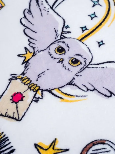 Изображение товара Плед Павлинка Совы 150x200