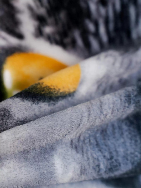 Изображение товара Плед PAVLine FREEDom Британец 150x200