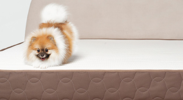 Изображение товара Матрас Natura Vera Fiori 80x190