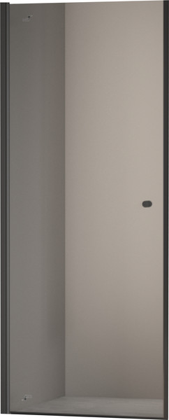 Изображение товара Душевая дверь Dolphin TN-03B / 54930309-14