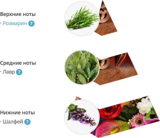 Изображение товара Аромадиффузор Eteria Cosmo Розмарин лавр и шалфей ETC0130 (45мл)