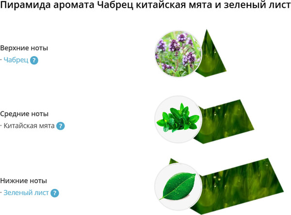 Изображение товара Ароматическое саше Eteria Cosmo Чабрец китайская мята и зеленый лист ETC0315 (10г)