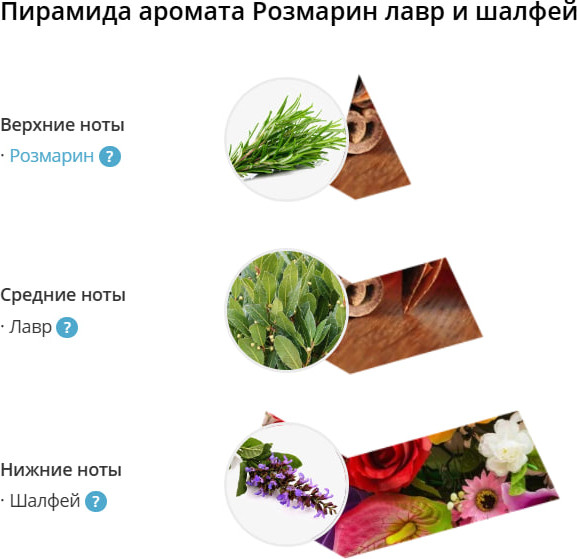 Изображение товара Гель для душа Eteria Cosmo Парфюмированный Розмарин лавр и шалфей ETC0530 (300мл)