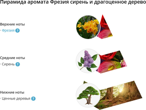 Изображение товара Гель для душа Eteria Cosmo Парфюмированный Фрезия сирень и драгоценное дерево ETC0521 (300мл)