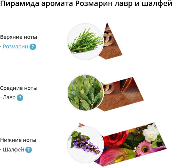 Изображение товара Набор косметики для тела Eteria Cosmo Розмарин лавр и шалфей ETC0630