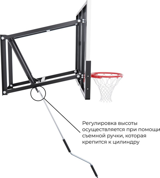 Изображение товара Баскетбольный щит DFC TG6MM120